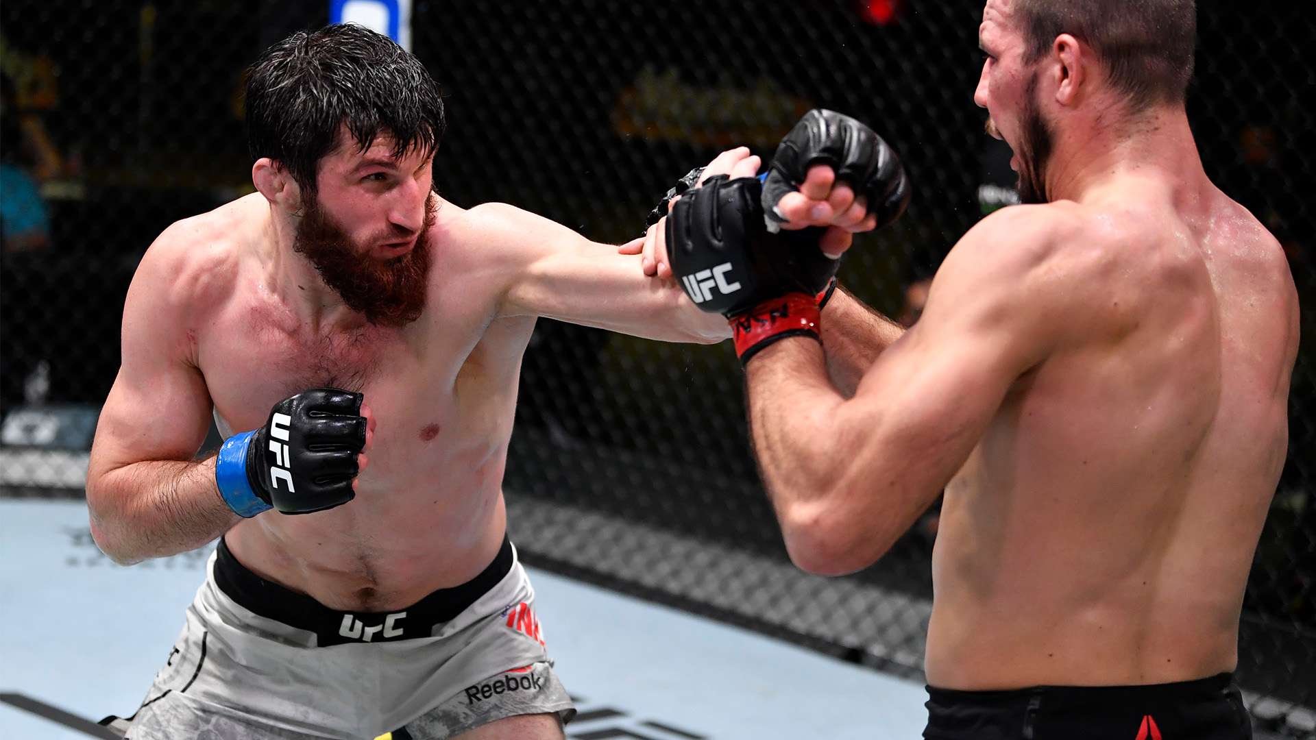 山东鲁能泰山中超赛事现场直播